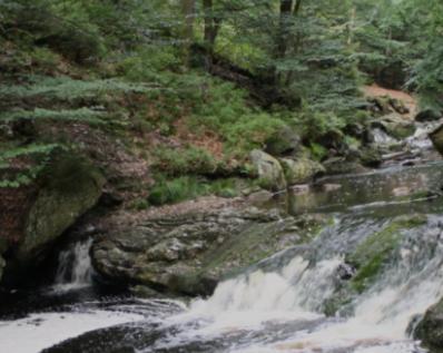 יאלהיי Gite Ardennes Au Coin Du Feu Jacuzzi Sauna Et Nature מראה חיצוני תמונה